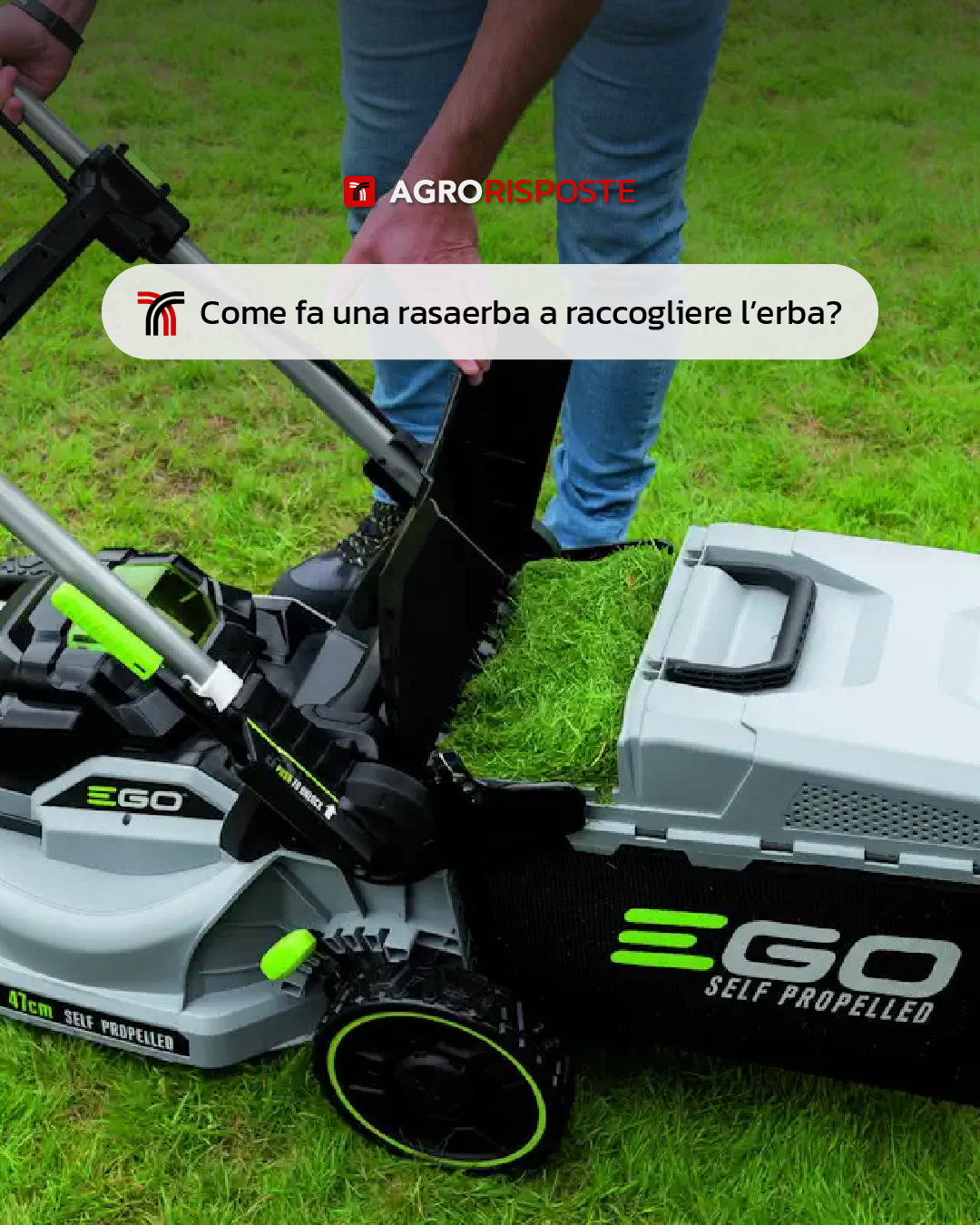 Come Rasaerba