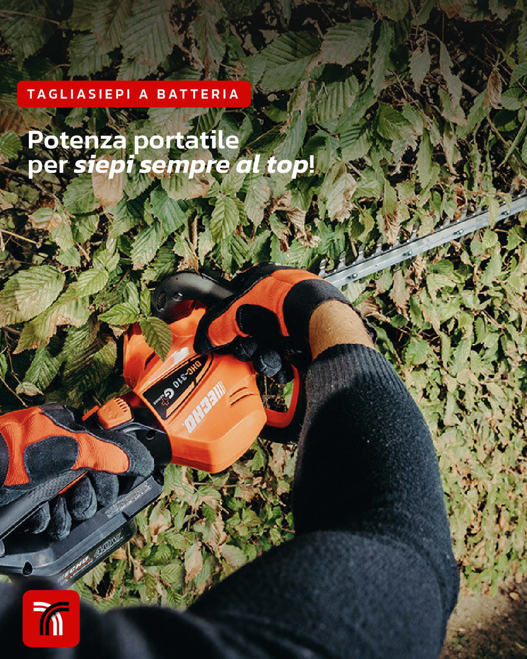 Tagliasiepi