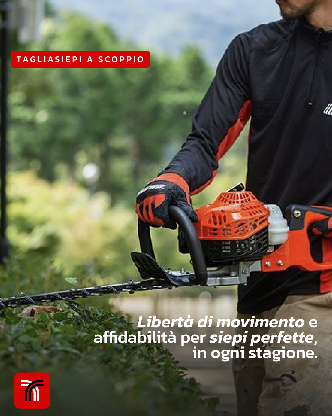Tagliaspepi Scoppio