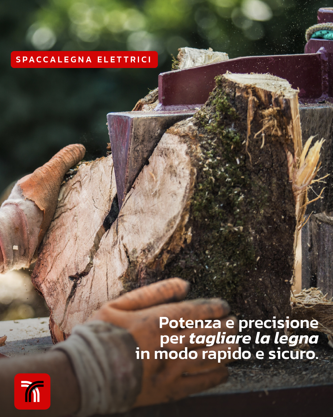 Spaccalegna