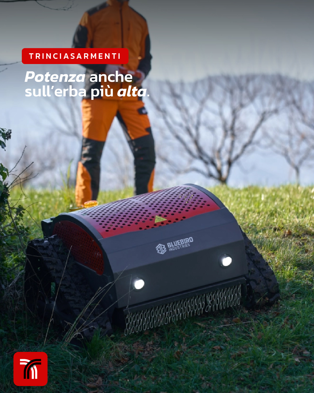 Trinciasarmenti