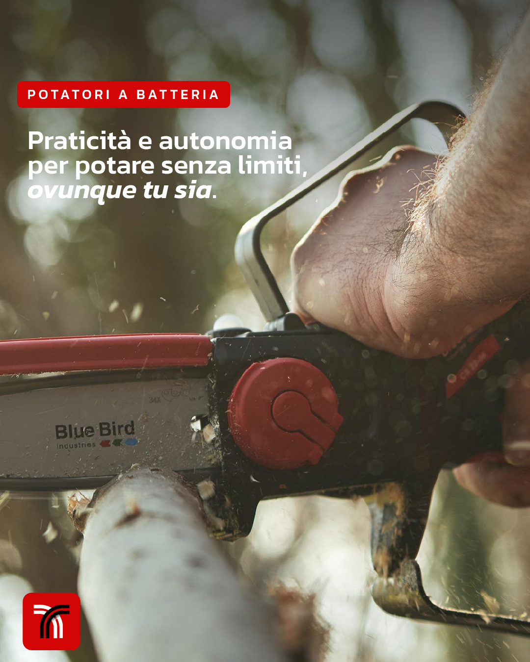 Potatori Batteria