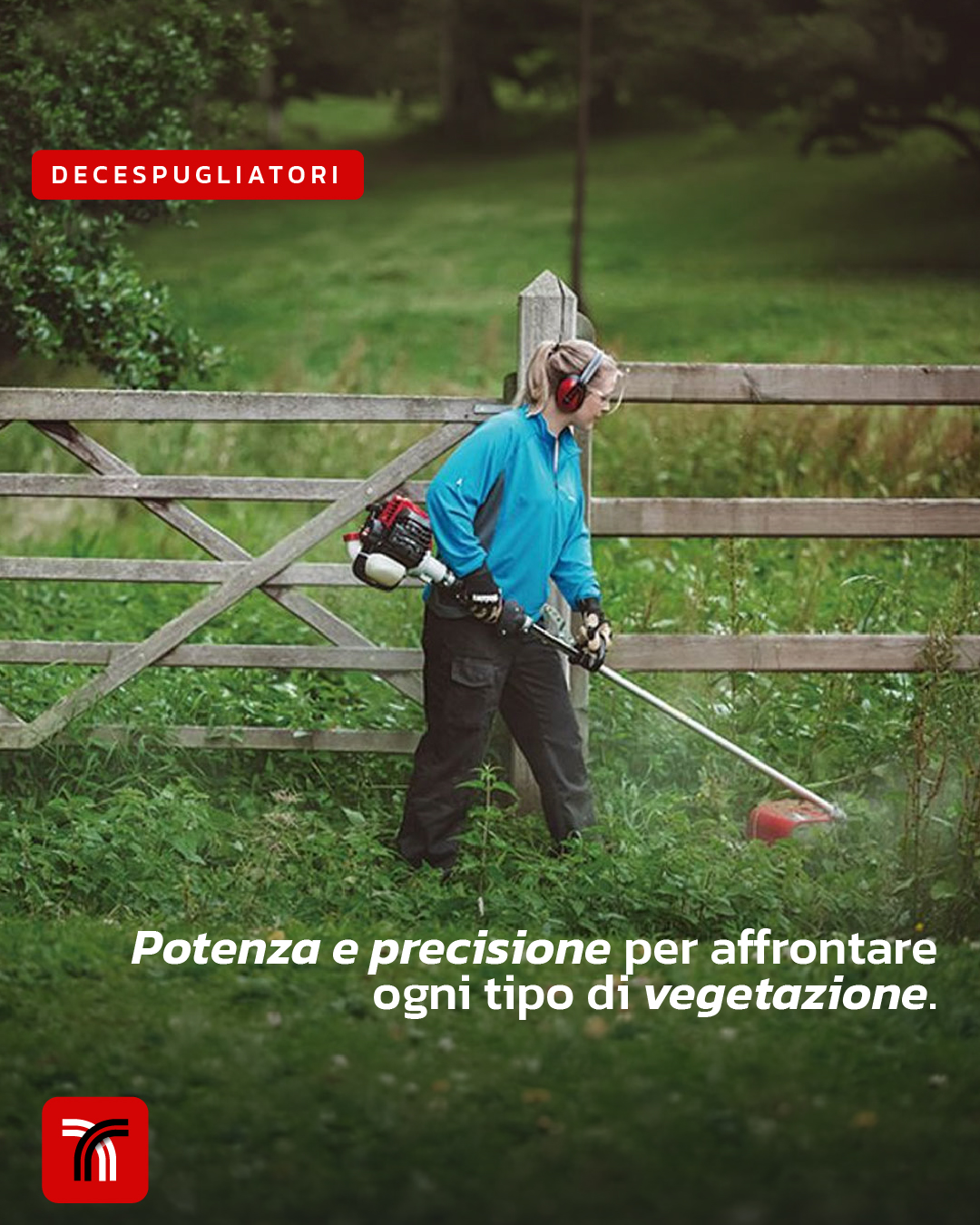 Decespugliatori