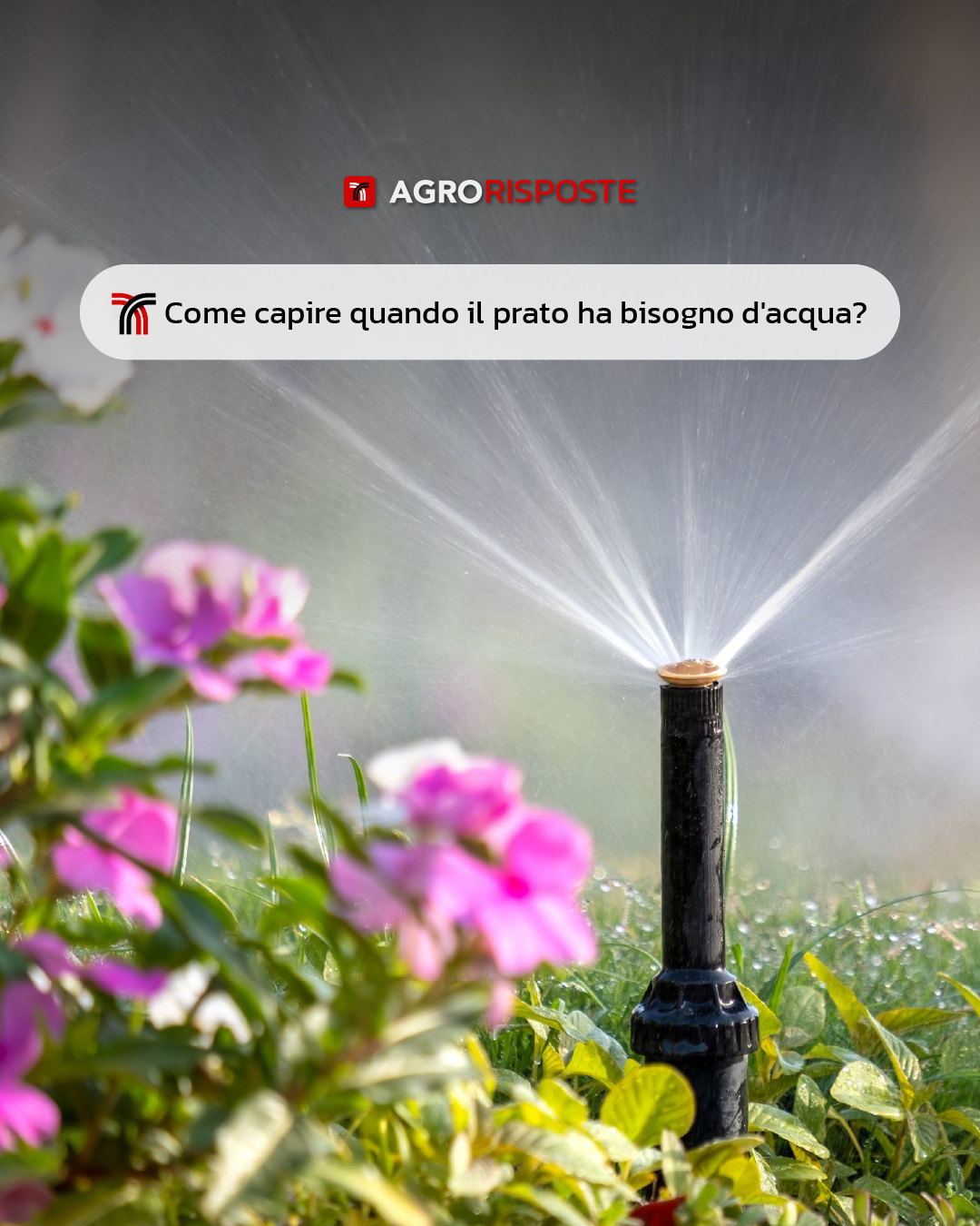 Irrigazione