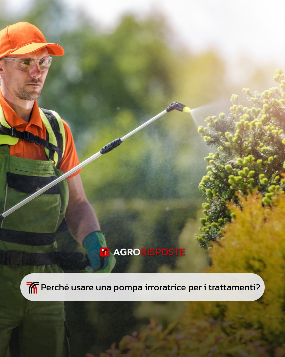 Pompe