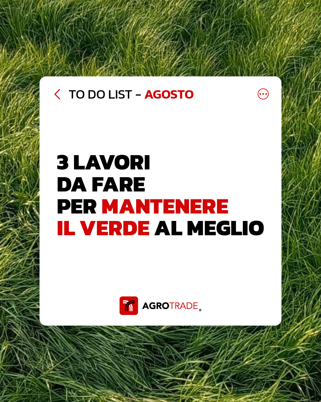 TO DO Agosto Tavola Disegno 1 Copia 21