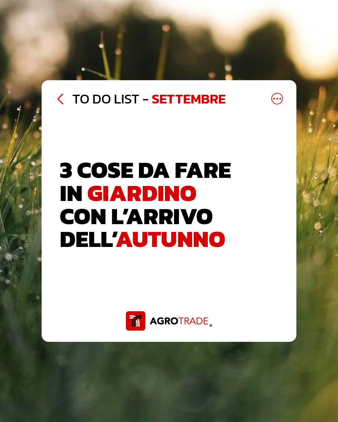 TO DO Settembre Tavola Disegno 1 Copia 21
